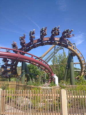 Menschen fahren in einem Achterbahnwagen über eine Looping-Strecke im Freizeitpark Tripsdrill unter klarem Himmel.