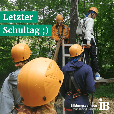 Personen mit Helmen klettern im Waldseilgarten zum Schuljahresabschluss in einem grünen Wald.