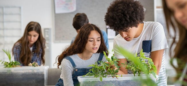 5 Schüler:innen lachen zusammen