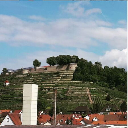 Blick auf die Festung Hohenasperg, umgeben von grünen Weinbergen und roten Dächern unter einem blauen Himmel.