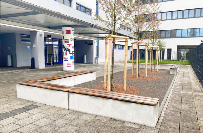 Eine moderne Sitzbank aus Holz umrahmt von neu gepflanzten Bäumen und einem bunten Pfeiler im Freiraum eines Gebäudes.