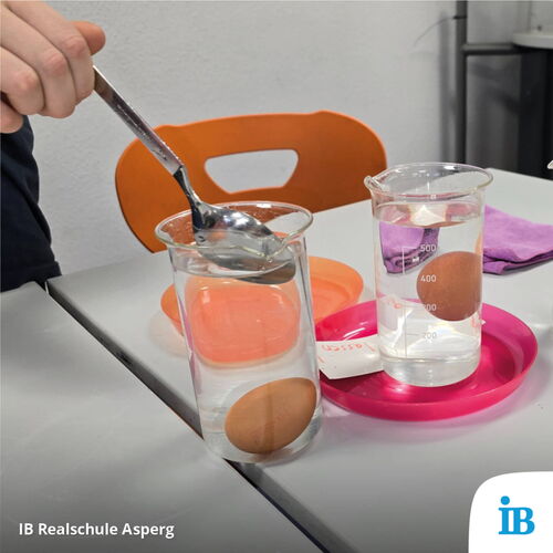 Ein Löffel wird in ein Glas mit Wasser und einem Ei getaucht, während eine orangefarbene Schale sichtbar ist.