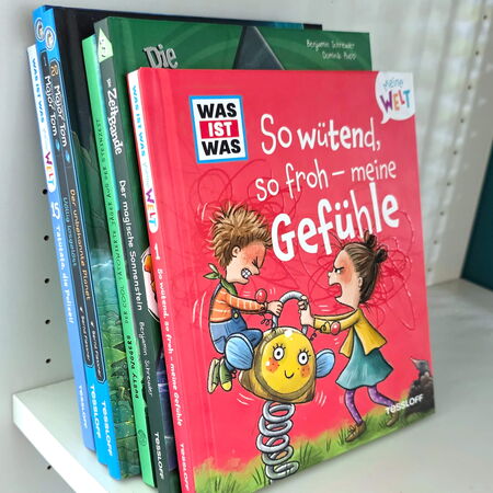 Bunte Kinderbücher, darunter "So wütend, so froh - meine Gefühle", stehen ordentlich in einem Regal in der Grundschule.